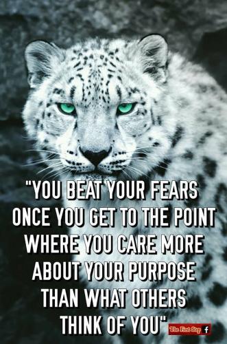 15350687 653814344827113 8334709070535001139 n