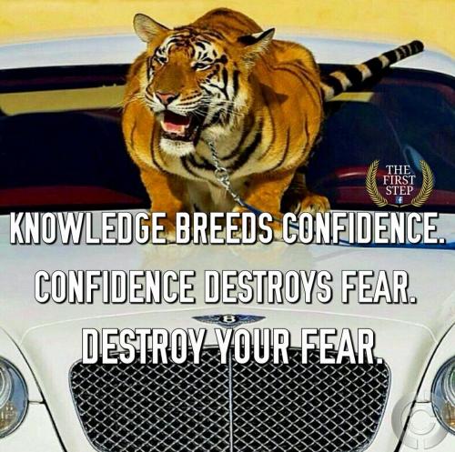 19466656 781939225347957 344049536385263251 o