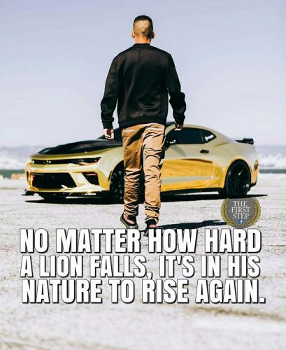 19488776 781823832026163 8067186083684110483 o