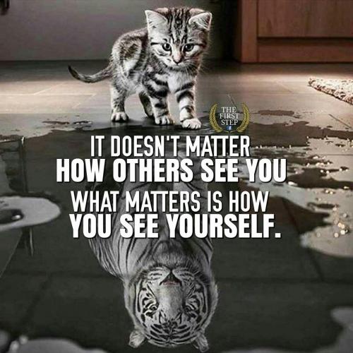 19693499 786645118210701 2252874751792383184 o