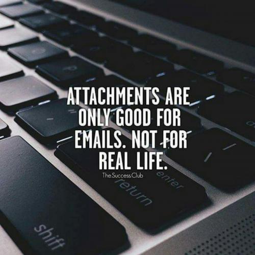 19780484 788852941323252 3397153102715569105 o