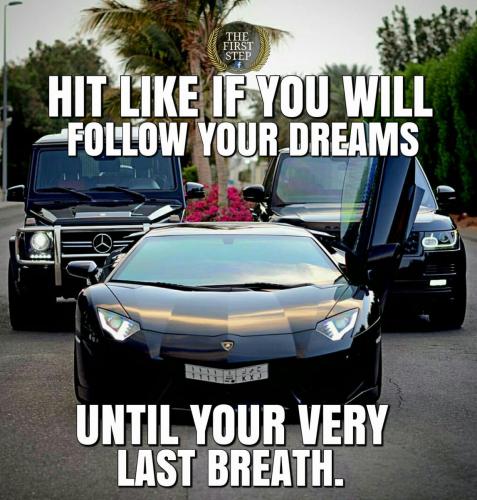 19956166 790722281136318 8675261666994149652 o