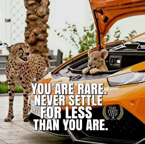 19957020 790132251195321 975720931904263347 o