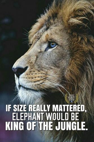 19983913 790705337804679 8075341392866202954 o