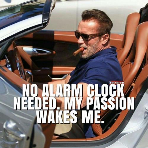 20045509 793091144232765 4852019740087546415 o